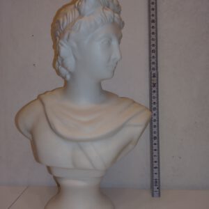 Apollo Büste